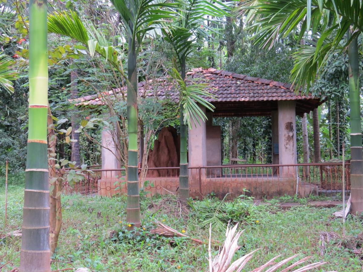 Sugamya Farm Guesthouse Sagar  Exteriér fotografie