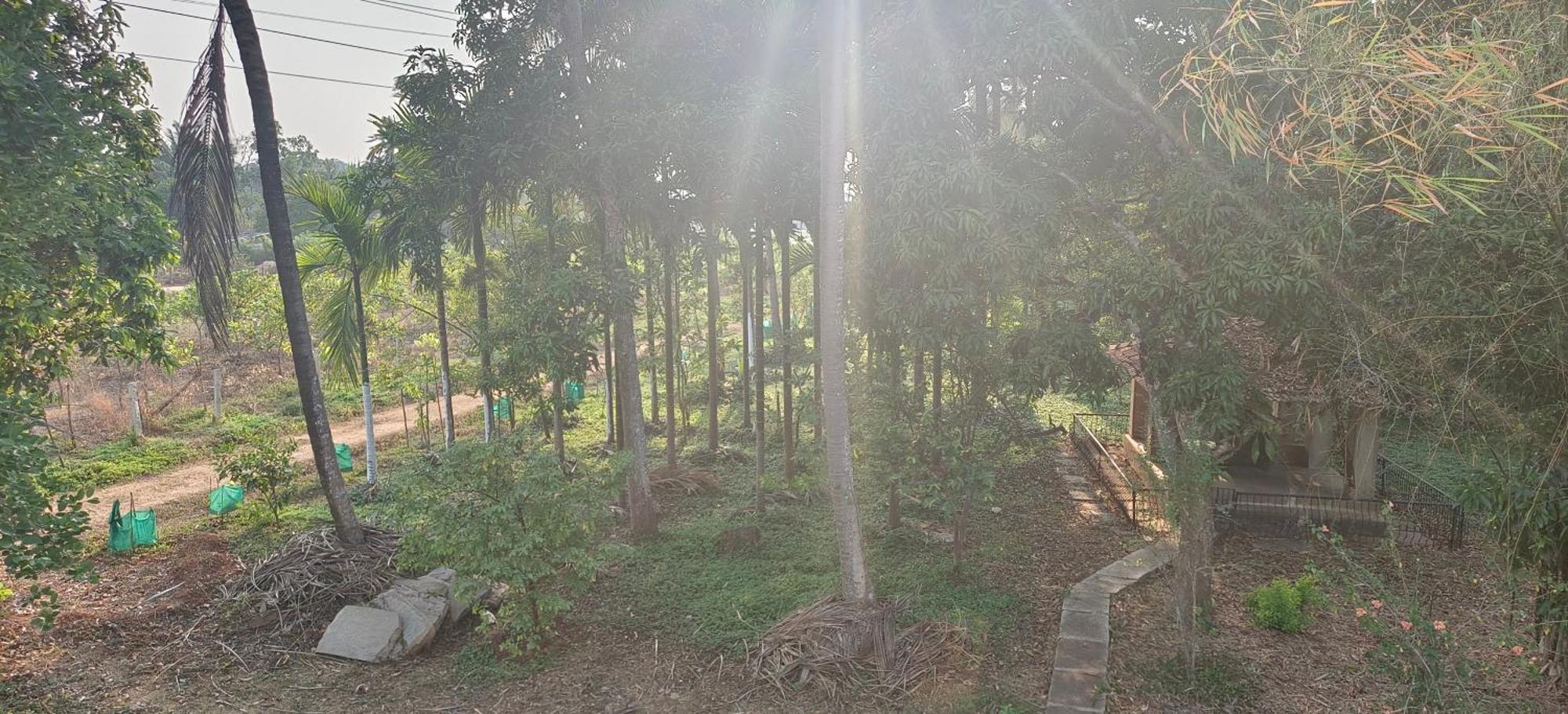 Sugamya Farm Guesthouse Sagar  Pokoj fotografie